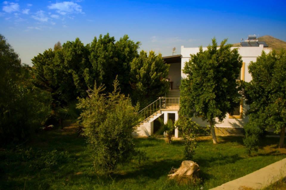 Alfa Apartments Bodrum Exterior foto