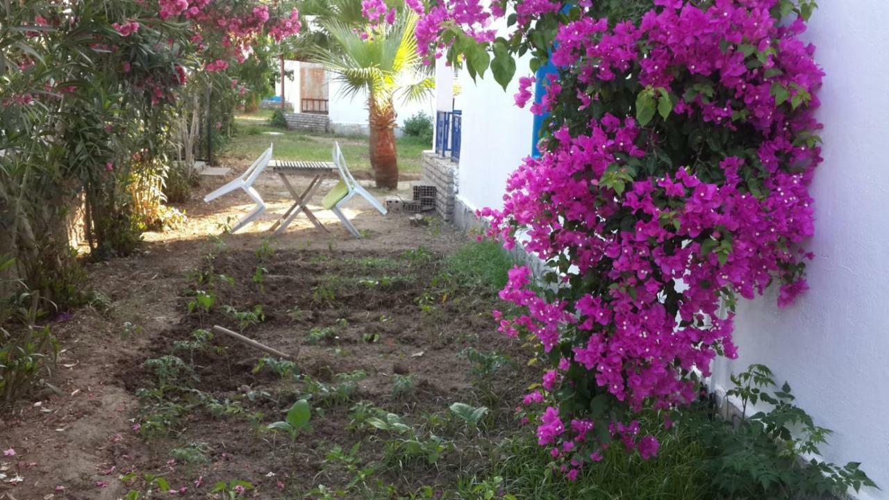 Alfa Apartments Bodrum Exterior foto
